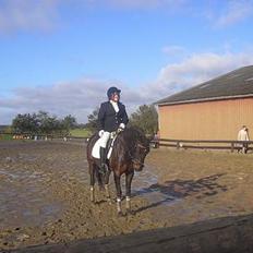 Anden særlig race Candy