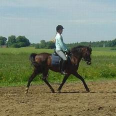 DSP Troldhøjs Nausikaa