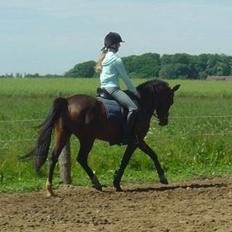 DSP Troldhøjs Nausikaa