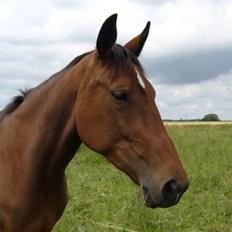 Traver Lomumba *død*