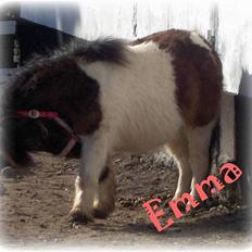 Miniature Emma