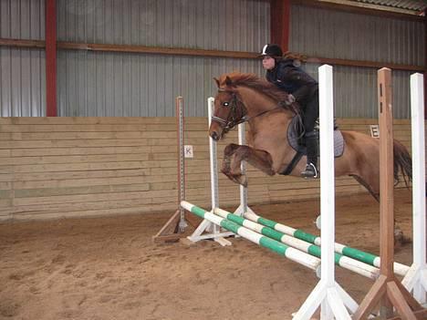 Anden særlig race Sebastian - Marts 2006 billede 14