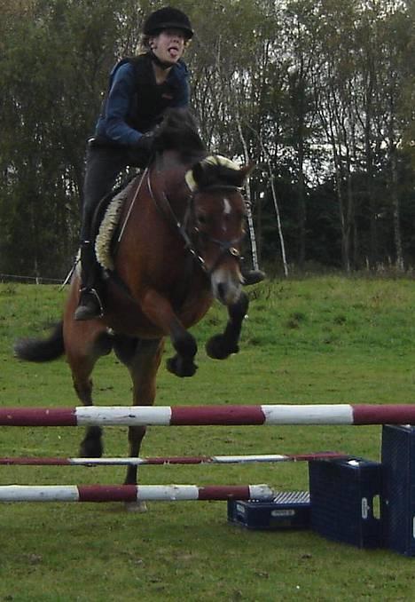 Anden særlig race My Lucky Lukas<3 - Solgt  - trillOs yndlingsbilled ! :D Taget af Camilla .  billede 7