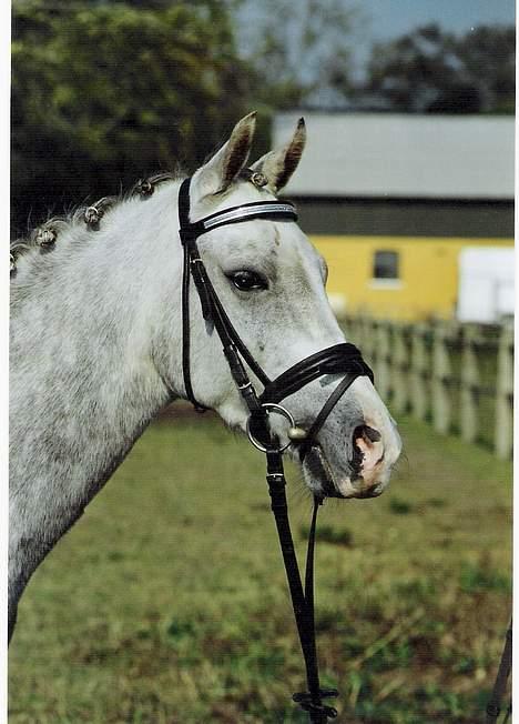 DSP Mon Dieu billede 3