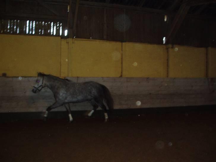 DSP Mon Dieu - Bliver løslongeret..<3 billede 4