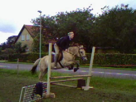 Fjordhest Freja (død) - Freja springer i oktober 2005 billede 14