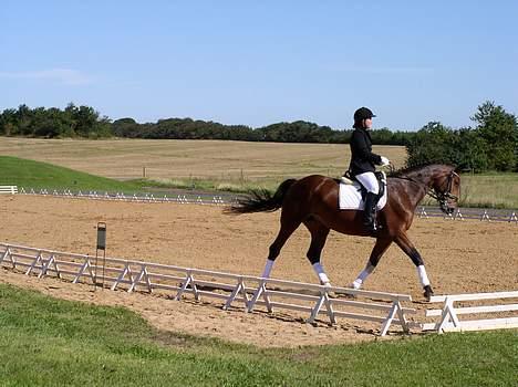 Anden særlig race Christiansmineds Medley - øvelse gør mester, lc i rind.. ikk så dårligt. hehe billede 8