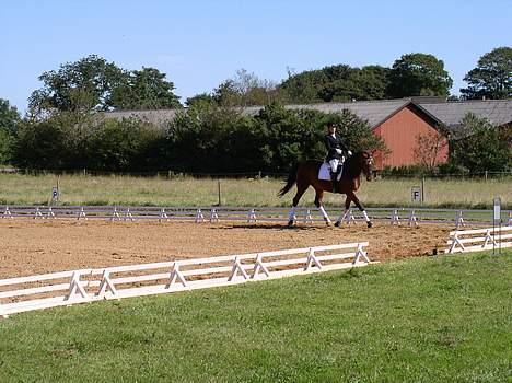 Anden særlig race Christiansmineds Medley - hun kan altså godt strække benene.. sys hun er såå smuk.. billede 9