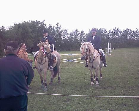 Fjordhest Rita - 2. plads i LB spring billede 20