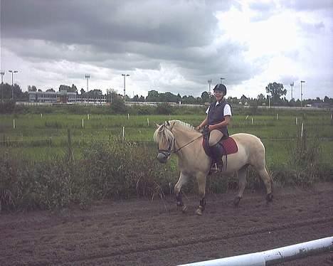 Fjordhest Vængets Liza - anne og liza.... billede 16