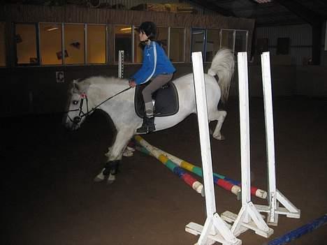 Anden særlig race Sabell - vifte igen den er 60 cm  billede 3