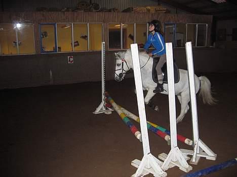 Anden særlig race Sabell - viften den er 60 cm billede 4