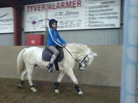 Anden særlig race Sabell - der går jeg til bidet , er mig ik køøøøn !  billede 11