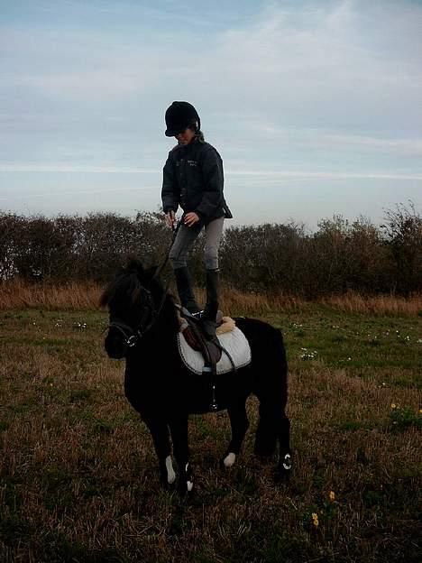 Anden særlig race Prins - Tadadadaaaah ! <3 billede 8