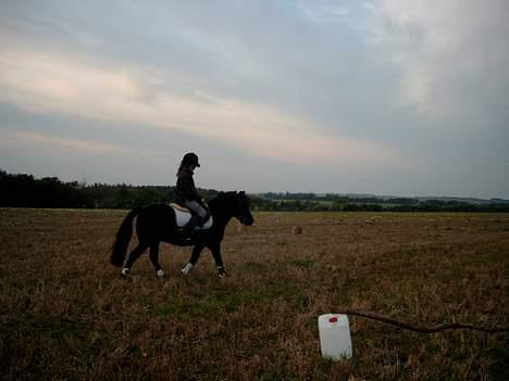 Anden særlig race Prins - Nåååå ! [ Nuttet, ikk ? ] billede 9
