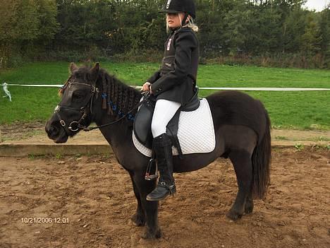 Anden særlig race Kalle - Kalle og Sabine billede 8
