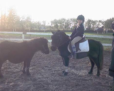 Anden særlig race Kalle - Kalle og Tarok billede 11