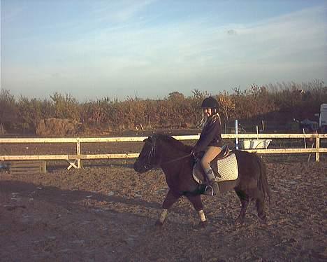 Anden særlig race Kalle - Kalle og Sabine billede 12