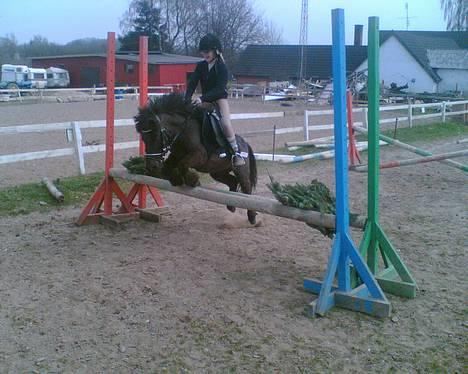 Anden særlig race Kalle - Kalle og sabine billede 13