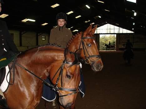 Anden særlig race La Rouge  *SOLGT*  - Stævne . Thisted . 2006 billede 7