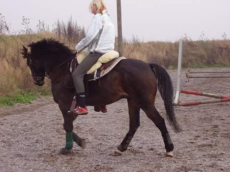 Anden særlig race Frederik - R.I.P. :'( - skønne frederik... hehe billede 2