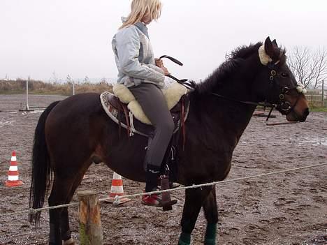 Anden særlig race Frederik - R.I.P. :'( - jeg VIL fremad.... billede 4