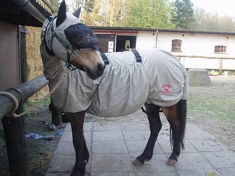 Connemara Perle (solgt) <33 - NYT - haha, Indpakning af Perle :b billede 20