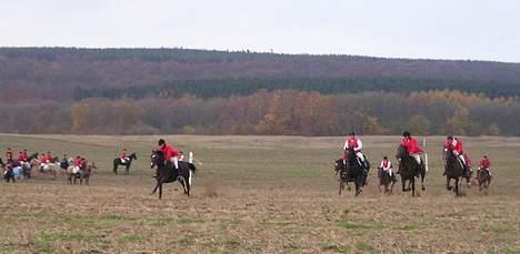 Dansk Varmblod May Ray fra Kirstinehøj - May og Catharina, som her ligger forrest i opløbet, Bornholms hubertusjagt 2005. billede 3