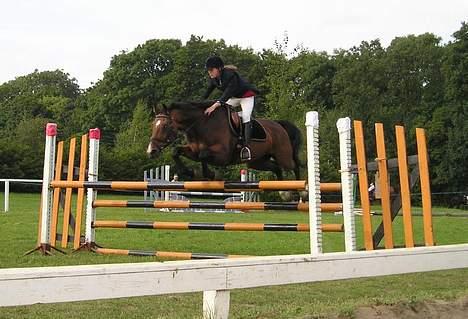 Dansk Varmblod May Ray fra Kirstinehøj - May og Catharina til springstævne. billede 5