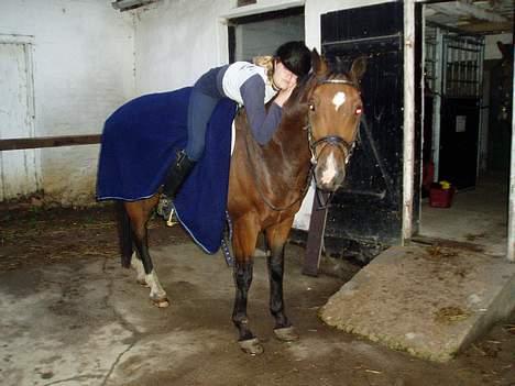 Dansk Varmblod May Ray fra Kirstinehøj - May og Emilie. billede 7