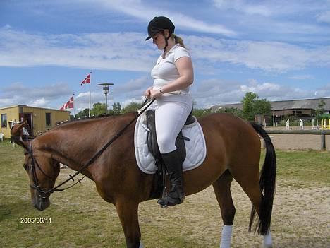 Anden særlig race Charlie *Solgt* - En træt hest med en træt rytter efter 2 hårde dressurklasser i Krikkerne på fyn... Hesten ku tage hjem, rytteren (Mig) skulle ride videre ;-) billede 18