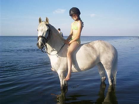 Tysk Sportspony - Halla - Fodbad... Juni 06 billede 13