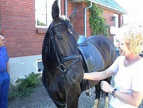 Oldenborg Saphir Nørremark RIP - Min mor og Saphir hjemme i indkørslen! billede 2