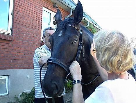 Oldenborg Saphir Nørremark RIP - Min mor og Saphir hjemme i indkørslen! billede 6