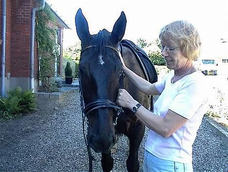 Oldenborg Saphir Nørremark RIP - Min mor og Saphir hjemme i indkørslen! billede 7