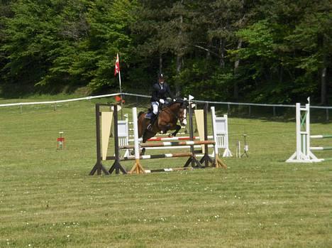 DSP Bæklunds Laredo (SOLGT) - Velk0mmen til Lared0´s pr0fil . Smid gerne en k0mmentar , 0q bedøm ! ( Morsø 07 . ) billede 1