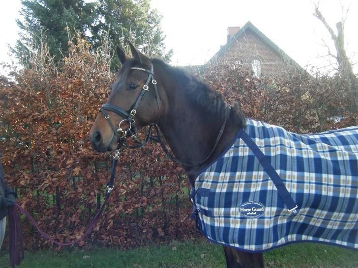 Anden særlig race Casino billede 1