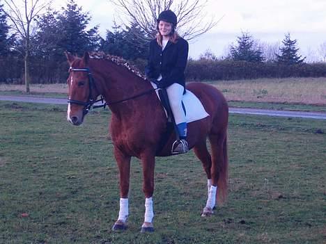 Anden særlig race Bella billede 8