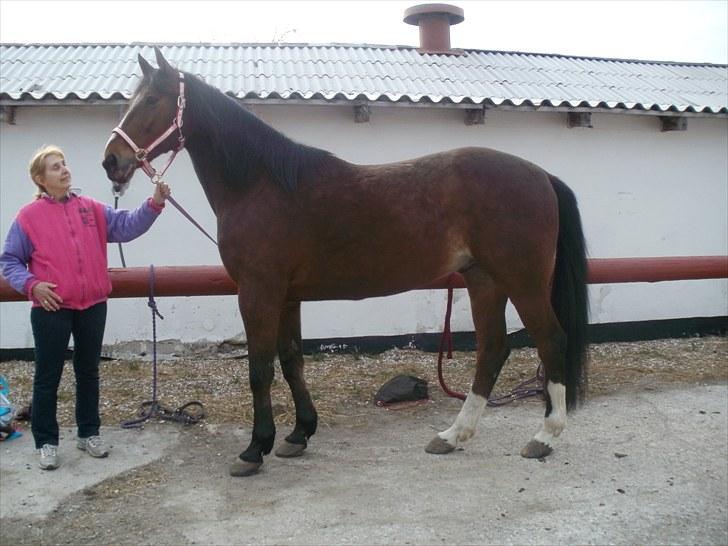 Traver Prince Del (Prins) - Igen min mor og Prins :) billede 8