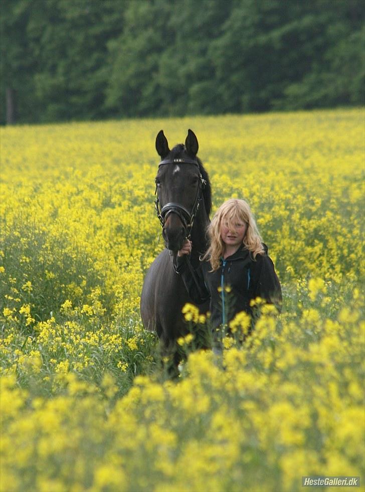 Anden særlig race Candy - candy <3 billede 2