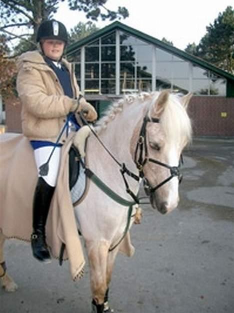 Palomino Harvey billede 5