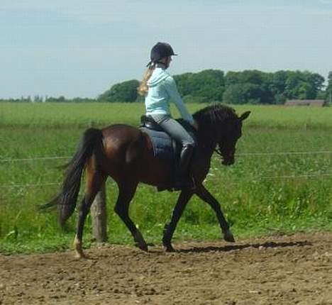 DSP Troldhøjs Nausikaa billede 3