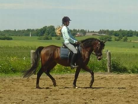 DSP Troldhøjs Nausikaa billede 4