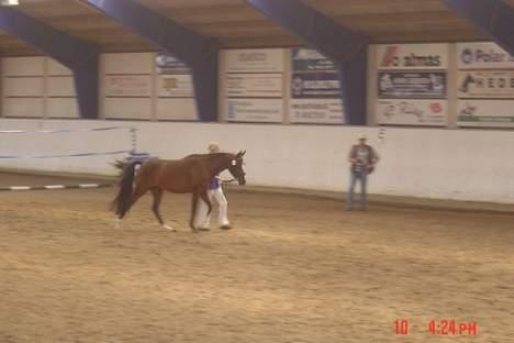 DSP Troldhøjs Nausikaa billede 7