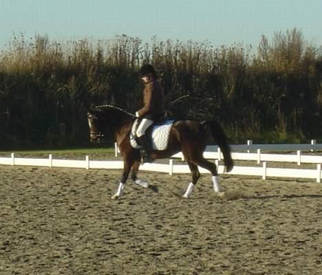 DSP Troldhøjs Nausikaa billede 8