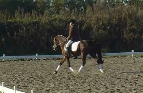 DSP Troldhøjs Nausikaa billede 9