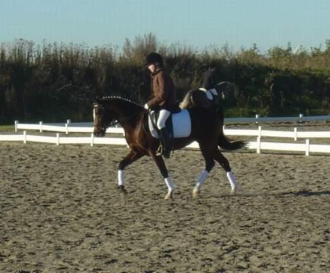 DSP Troldhøjs Nausikaa billede 10