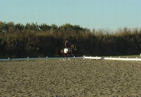 DSP Troldhøjs Nausikaa billede 11