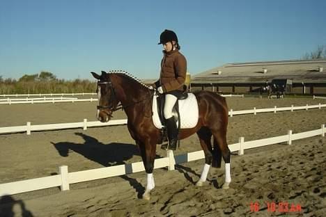 DSP Troldhøjs Nausikaa billede 12