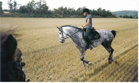 Anden særlig race Silverlea Picasso - Tror jeg er 15 år gammel på dette billede :) Det var tider.. billede 4